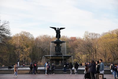 Bethesda Fountain